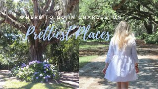 Wadmalaw Island Vlog  Exploring Charleston [upl. by Acinimod800]