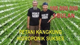 Kisah Sukses Petani Kangkung Hidroponik Omset Ratusan Juta Keren Nih [upl. by Atahs]