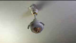 Cleaning my Royal ceiling fan with opening fan bladesasmr royalfans home [upl. by Haines508]