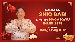 Ramalan Shio Babi di Tahun Naga Kayu 2024 Bersama Kang Hong Kian  Sonora Fengshui [upl. by Stetson132]