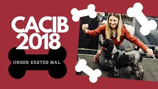 VLOG unser erstes Mal  CACIB Nürnberg 2018 [upl. by Rue]