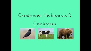 Carnivores Herbivores Omnivores [upl. by Fonsie]