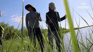 Students dive into summer microplastics research experience [upl. by Lemraj893]