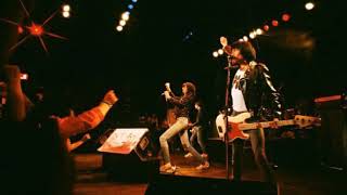 Ramones  All the way Live 1980 [upl. by Charil356]