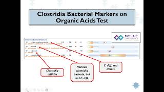 Clostridia Bacteria Induced Disease  More Than a Digestive System Problem Webinar [upl. by Yarvis]