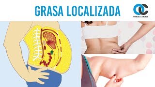 Grasa localizada  Cómo eliminarla [upl. by Tterb]