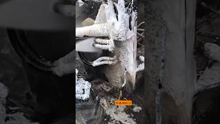 satisfying pressure wash washing truck bottom ASMR asmrcleaning satisfying satisfyingvideos [upl. by Nochur]