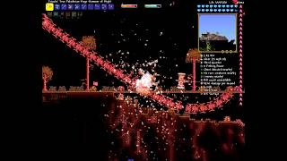 Terraria Invincibility Glitch  Calamity 321 Patched [upl. by Ariaj946]