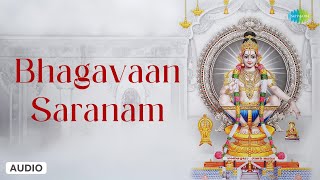 Bhagavaan Saranam  Pallikattu Sabarimalaikku  K Veeramani  Saregama Tamil Devotional [upl. by Goldman]