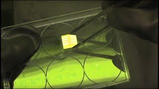 Constructing a perovskite solar cell [upl. by Aliehs]