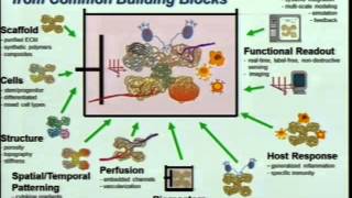 Demystifying Medicine 2014  DrugInduced Liver Injury Who What When and How [upl. by Vadim801]