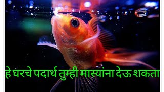 Home made food for fishes Part 1 मास्यांसाठी घरचे खाणे भाग १ [upl. by Nahte305]