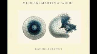 Medeski Martin amp Wood  God Fire [upl. by Utta896]