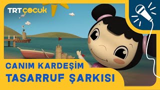 Canım Kardeşim  Tasarruf Şarkısı [upl. by Artemahs]