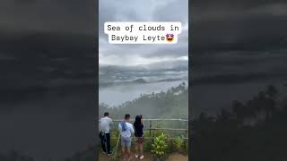 SKY CAFE shortvideo everyone fyp trending travel viralvideo [upl. by Launcelot]