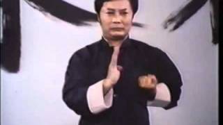 Wing Chun  Wong Shun Leung  Siu Lim Tau  slow [upl. by Ynnaf]