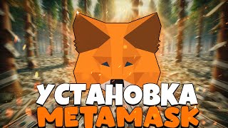 🦊 Установка METAMASK на ПК  ПОЛНАЯ НАСТРОЙКА Сети Безопасность в Метамаск криптокошелек [upl. by Atteynot]