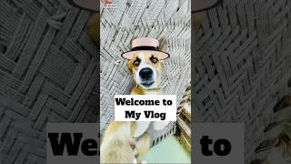 Pluto The First Mini Vlog 🤣 [upl. by Ahsauqal]