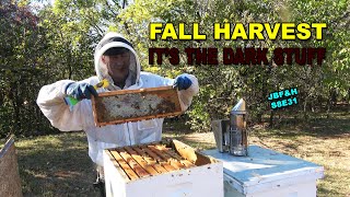 Fall Honey Harvest S8E31 beekeeping [upl. by Aerdnek400]