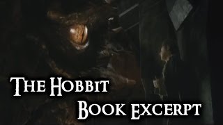 The Hobbit Book Excerpt Smaug Finds Bilbo [upl. by Helsell278]