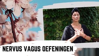 Nervus Vagus Oefeningen deel 1 [upl. by Bergwall]