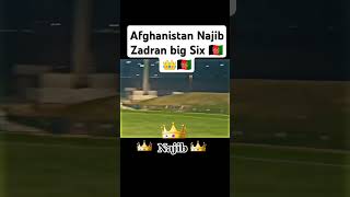 Afghanistan king Najib Zadran batting [upl. by Arok]