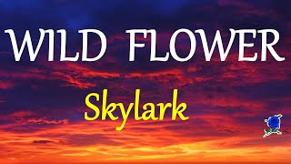 WILD FLOWER  SKYLARK lyrics HD [upl. by Rema36]