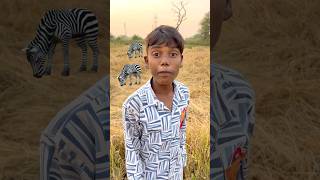 CHOTU KA VILAGE TIGER shorts FACTFIREKING [upl. by Ardnik725]