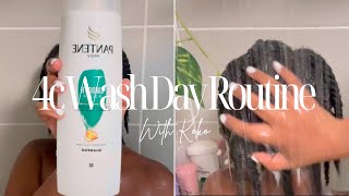 Wash Detangle amp Style my 4C Hair in Twists 🌀 Moisture Routine for Healthy Afro  SA youtuber🇿🇦 [upl. by Morez]