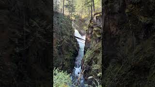 Little Qualicum Falls [upl. by Yvonner423]