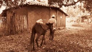 EL SANTO DE CORINTO Cortometraje Salvadoreño [upl. by Gustavus]