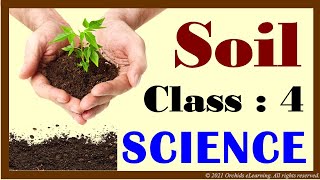 Soil  Class  4 Science  CBSE  NCERT  CBSE Syllabus  Types Of Soil  Layers Of Soil [upl. by Jorrie]