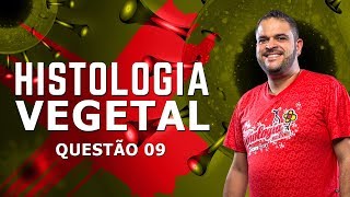 RESOLVENDO QUESTÃO SOBRE ANEL DE MALPIGHI OU CINTAMENTO  questão 9  lista histologia vegetal [upl. by Aneej764]