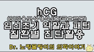 hcg인간융모성생식선자극호르몬 human chorionic gonadotropin 임신초기역할과 질환별 진단적용 [upl. by Alfonse]