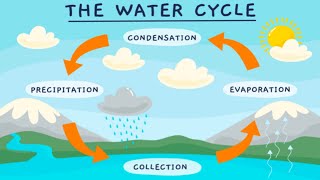 WATER CYCLE💧 The water cycle process  Easy science video [upl. by Aisetal]