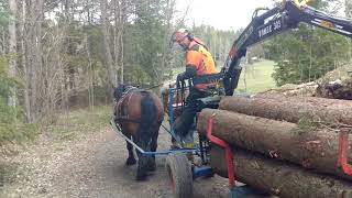 Ardennerhästar parkörning Fullt lass i Kastmorabacken [upl. by Ettevy]