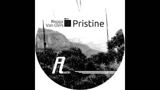 Reggy van Oers  Pristine Original Mix Affin 024 LTD [upl. by Ettegdirb681]