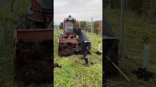 Fertilizing vineyard with compost at Weingut Sattlerhof Austria thewinearound wine compost [upl. by Sivraj]