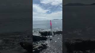 Sabiki Rig  Anti Zero foryou fishing fishingequipment fishingtechniques fishingvideo angler [upl. by Melborn522]