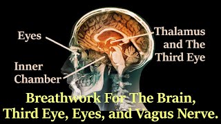 Breathwork For The Face Brain Neck Eyes 3rd Eye amp Vagus Nerve  Breathing with The Inner Chamber [upl. by Nevar821]