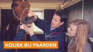 Help mijn paard heeft koliek  PaardenpraatTV [upl. by Gerome]