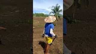 Land Preparation at Marinasan Farm [upl. by Ruelle]