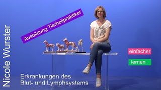 Ausbildung zum Tierheilpraktiker  Pathologie Blut und Lymphsystem [upl. by Suirtemed]