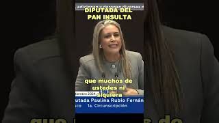 Diputado del PT pone en su lugar a Paulina Rubio del PAN debate de la Reforma a la GuardiaNacional [upl. by Eelsew]