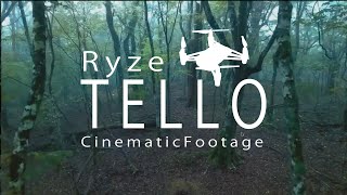 DJI Ryze Tello Cinema 27 [upl. by Eamaj]