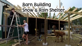 Barn Building  Animal Winter amp Rain Shelter [upl. by Ahcrop]