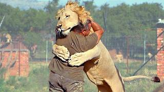 Animals Reunited With Owners AFTER YEARS apart [upl. by Dotson]