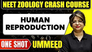 HUMAN REPRODUCTION in 1 Shot All Concepts Tricks amp PYQs  NEET Crash Course  Ummeed [upl. by Atihana788]