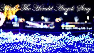 Hark The Herald Angels Sing天には栄えpiano [upl. by Tucky305]