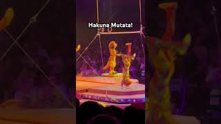 The Lion King Show at Disney’s Animal Kingdom WDW disneyparks [upl. by Miehar424]